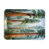 Nationaal park Retro Sequoia Magneet (Horizontaal)