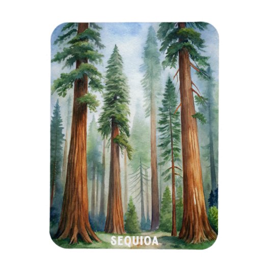 Nationaal park Retro Sequoia Magneet (Verticaal)