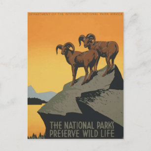 nationaal park Retro Travel Poster Briefkaart