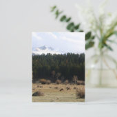 Nationaal park Rocky Mountain Briefkaart (Staand voorkant)