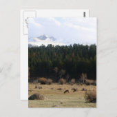 Nationaal park Rocky Mountain Briefkaart (Voorkant / Achterkant)