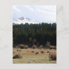 Nationaal park Rocky Mountain Briefkaart