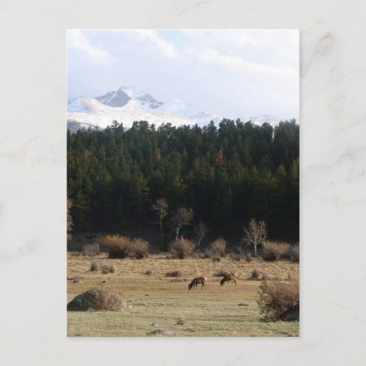 Nationaal park Rocky Mountain Briefkaart (Voorkant)