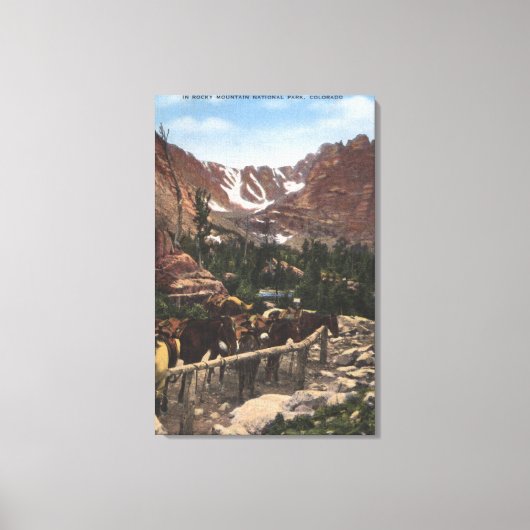 Nationaal park Rocky Mountain, CO Canvas Afdruk (Voorkant)