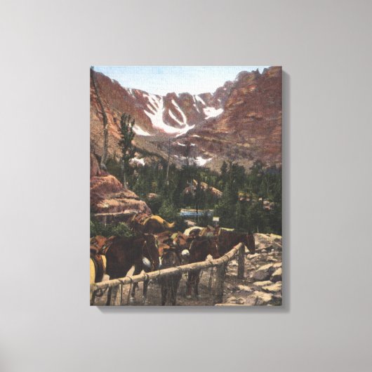 Nationaal park Rocky Mountain, CO Canvas Afdruk (Voorkant)