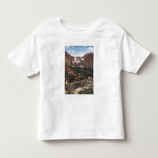 Nationaal park Rocky Mountain, CO Kinder Shirts (Voorkant)