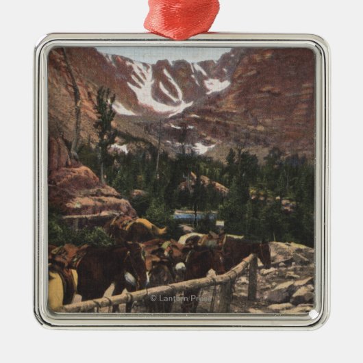 Nationaal park Rocky Mountain, CO Metalen Ornament (Voorkant)