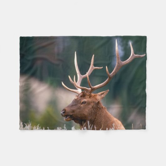 Nationaal Park Rocky Mountain Elk Yellowstone Fleece Deken (Voorkant (Horizontaal))