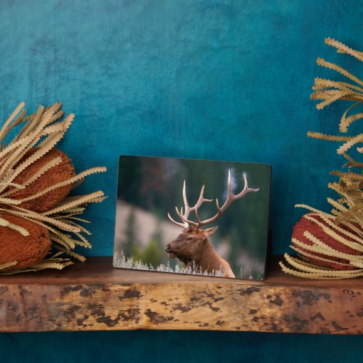 Nationaal Park Rocky Mountain Elk Yellowstone Fotoplaat (Zijkant)