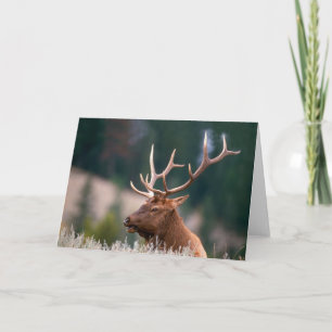Nationaal Park Rocky Mountain Elk Yellowstone Kaart