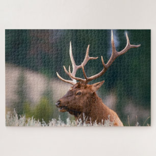 Nationaal Park Rocky Mountain Elk Yellowstone Legpuzzel