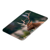 Nationaal Park Rocky Mountain Elk Yellowstone Magneet (Linkerzijde)
