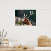 Nationaal Park Rocky Mountain Elk Yellowstone Poster (Keuken)