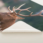 Nationaal Park Rocky Mountain Elk Yellowstone Sherpa Deken (3/4)