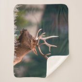 Nationaal Park Rocky Mountain Elk Yellowstone Sherpa Deken (Voorkant)