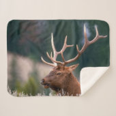 Nationaal Park Rocky Mountain Elk Yellowstone Sherpa Deken (Voorkant (horizontaal))