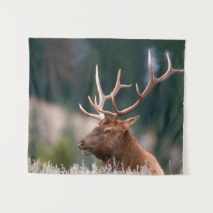 Nationaal Park Rocky Mountain Elk Yellowstone Wandkleed