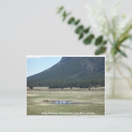 Nationaal park Rocky Mountain in Estes park, CO Briefkaart (Staand voorkant)