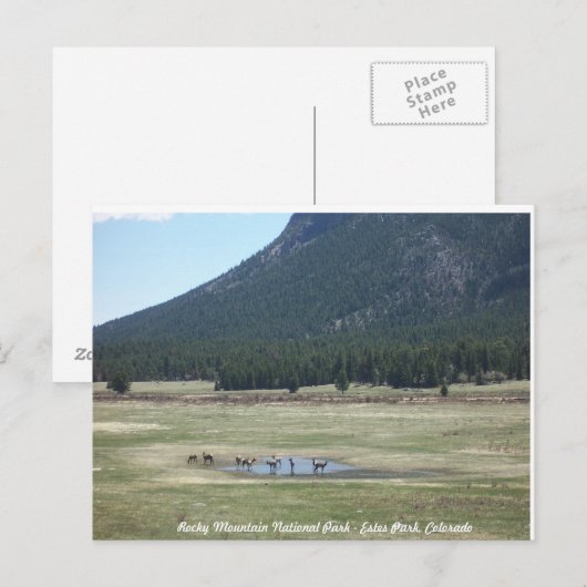 Nationaal park Rocky Mountain in Estes park, CO Briefkaart (Voorkant / Achterkant)