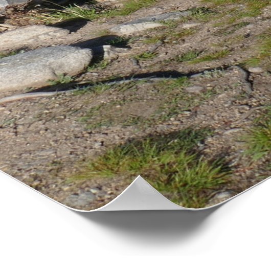 Nationaal park Rocky Mountain Poster (Hoek)