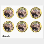 Nationaal park Rocky Mountain Ronde Sticker (Vel)