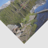 Nationaal park Rocky Mountain Tissuepapier (Detail)