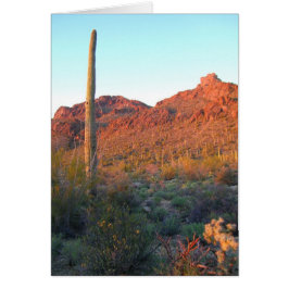 Nationaal park Saguaro