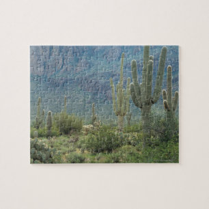 Nationaal Park Saguaro, Arizona Legpuzzel