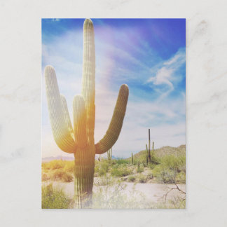 Nationaal park Saguaro Briefkaart