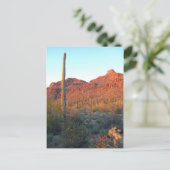 nationaal park saguaro briefkaart (Staand voorkant)