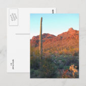 nationaal park saguaro briefkaart (Voorkant / Achterkant)