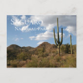 Nationaal park Saguaro Briefkaart (Voorkant)
