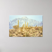 Nationaal park Saguaro Canvas Afdruk (Voorkant)