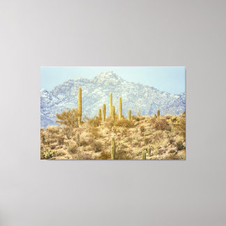 Nationaal park Saguaro Canvas Afdruk