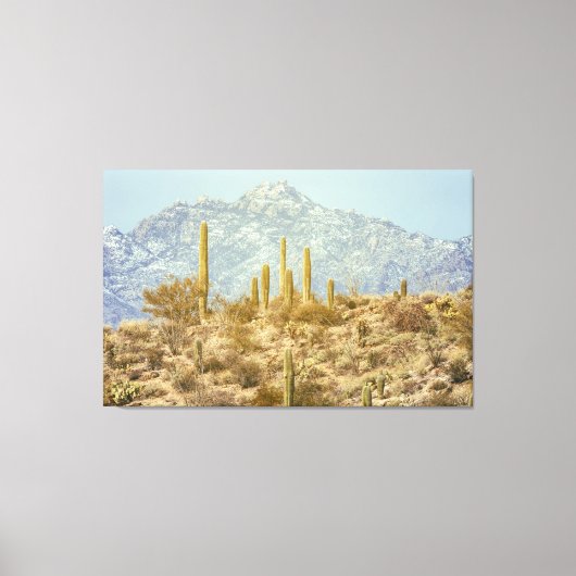 Nationaal park Saguaro Canvas Afdruk (Voorkant)