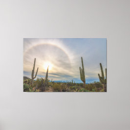 Nationaal park Saguaro Canvas Afdruk