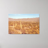 Nationaal park Saguaro Canvas Afdruk (Voorkant)