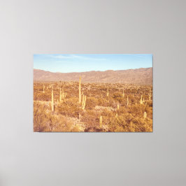 Nationaal park Saguaro Canvas Afdruk