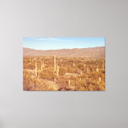 Nationaal park Saguaro Canvas Afdruk (Voorkant)