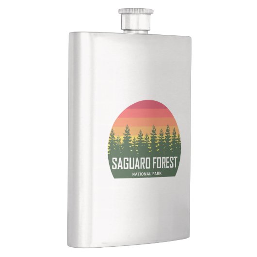 Nationaal park Saguaro Forest Flacon (Rechts)