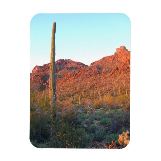 Nationaal park Saguaro Magneet (Verticaal)