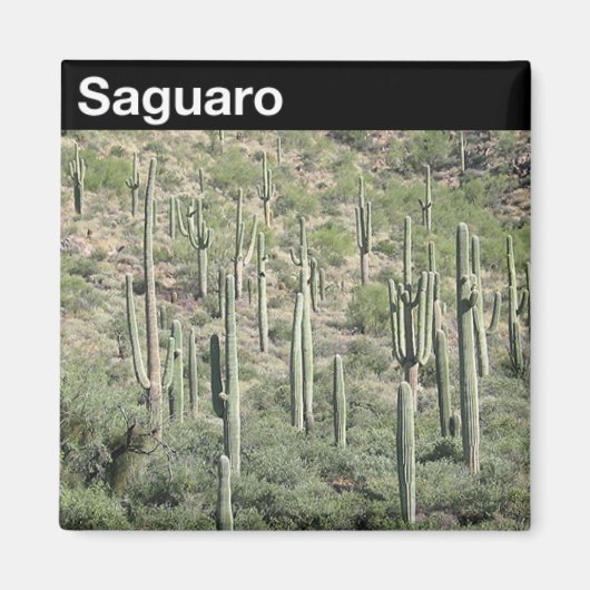 Nationaal park Saguaro Magneet (Voorkant)