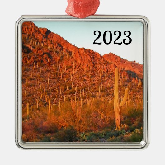 Nationaal park Saguaro Metalen Ornament (Voorkant)