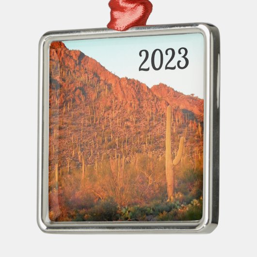 Nationaal park Saguaro Metalen Ornament (Links)