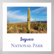 Nationaal park Saguaro