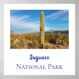 Nationaal park Saguaro Poster