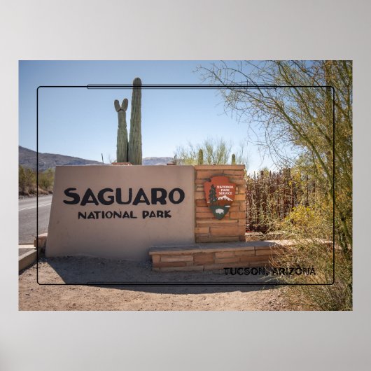 Nationaal park Saguaro - Poster van de woestijn va (Voorkant)