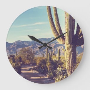 Nationaal park Saguaro, schilderachtig gebied. Grote Klok