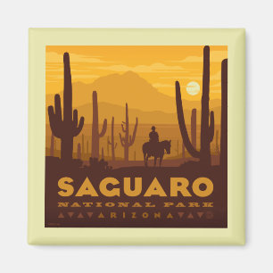 Nationaal park Saguaro Square   Arizona Magneet