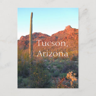 Nationaal Park Saguaro Tucson, Arizona Briefkaart